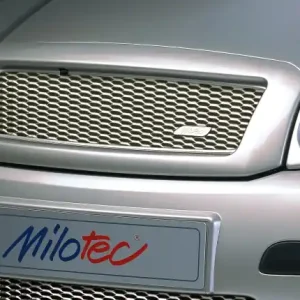 Jen Po Omezenou Doba Sportovní přední maska s nerez tahokovem Škoda Fabia I (1999 - 2008)