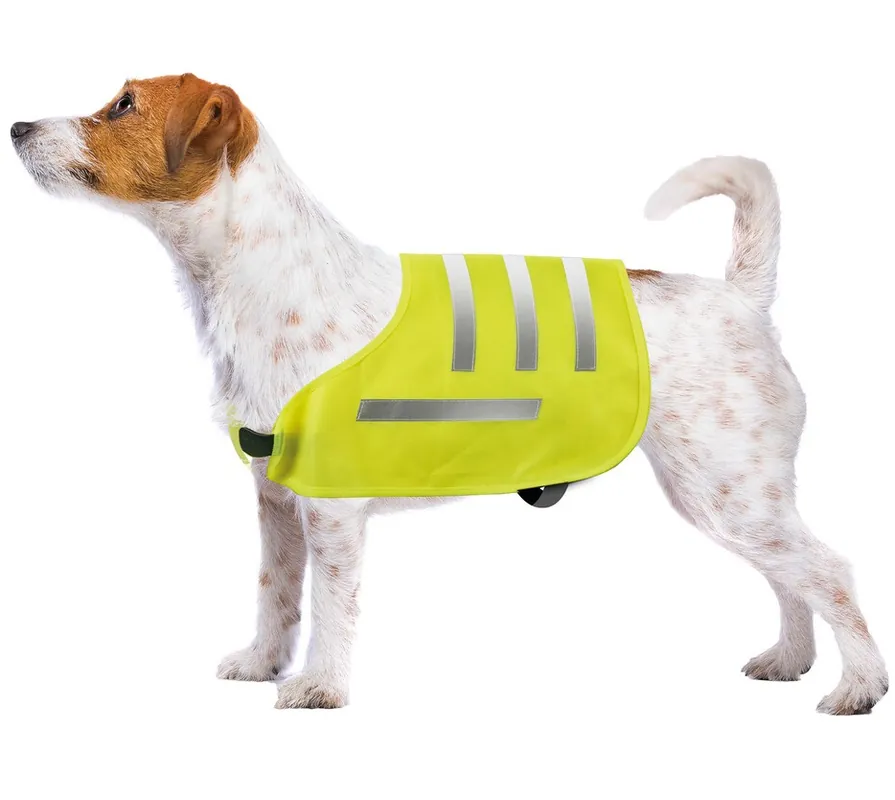 Reflexní vesta pro psa LAMPA SAFETY DOG VEST, velikost S Odeslání Ihned